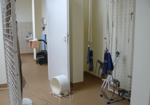 Zdjęcie przedstawia sprzęty na sali fizjoterapii